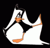 L'avatar di Daffy Duck